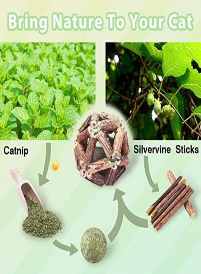 BohoBark Catnip Toys, Natural Rattan Sticks Catnip Balls and Bell Balls, Indoor Sounding MolarToys, Teeth Cleaning Chew Toys (1 pcs) - Image 2